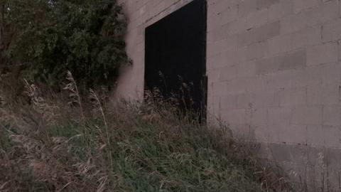 Night Visit - 85A0C76E-7820-4E3D-8A8D-11F7299D9564L7O.jpg