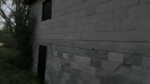 Night Visit - FA03EFDC-1F28-491C-A3B4-87A7977AB4B0DAv.jpg