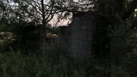 Night Visit - 30F14A20-EB8D-4259-A0F7-AE868BF0FF55vnm.jpg