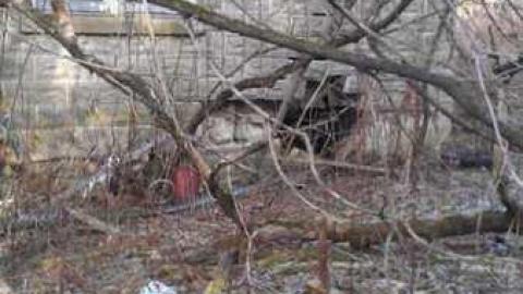 Photo from December 17