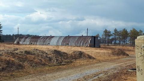 summer 2020 - 20200329_154957zOW.jpg