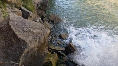 Photo from Great day for a hike 