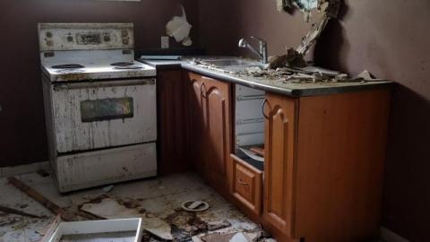 Nov '19 - DSC02228YSh.jpg