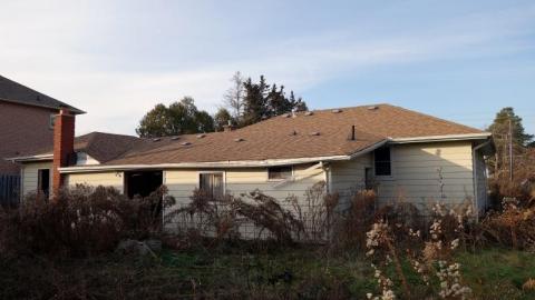 Nov '19 - DSC02229rqM.jpg