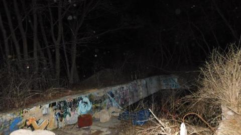 Photo from night hike 