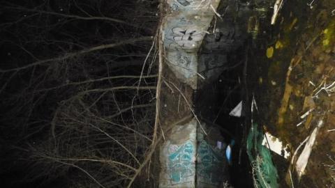 Photo from night hike 