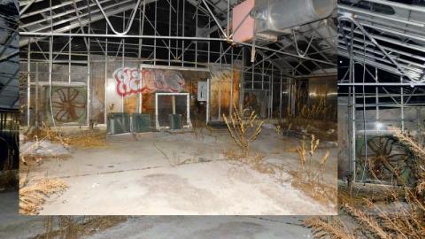 Photo from ftd graveyard