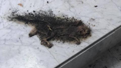 Still Unvandalized cover photo