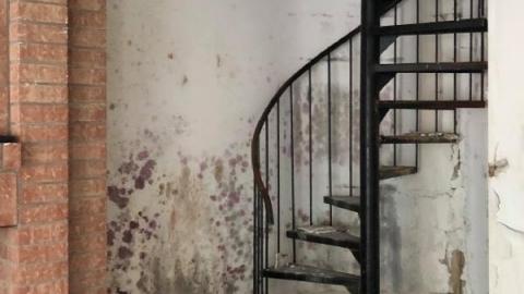 Still Unvandalized - 118236524_2932190017008130_52528022759228ws.jpg