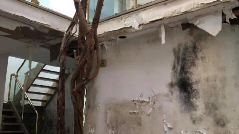 Still Unvandalized - 118610475_2871541086457606_6949750127361GKh.jpg