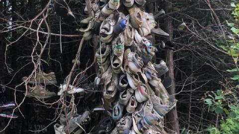 Pink Cowboy Boots - 118471661_359595851756638_90522164137920bVo.jpg