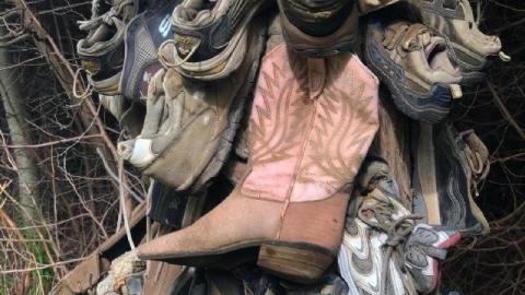 Pink Cowboy Boots - 118283788_1704846976332545_5927533205450jGy.jpg