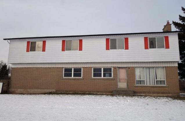 Blinded By The Orange photo 2