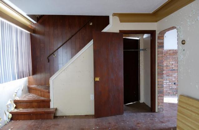 Blinded By The Orange photo 4