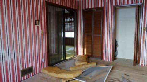 Jan '20 - DSC01110nWk.jpg