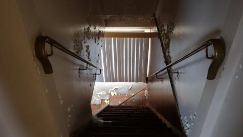 Jan '20 - DSC0112339h.jpg