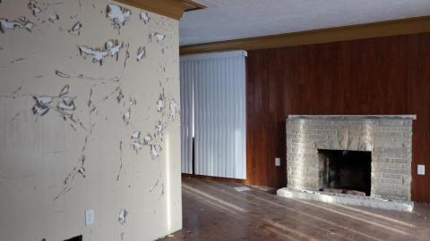 Jan '20 - DSC01144wxF.jpg