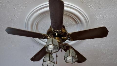 Jan '20 - DSC01149bK7.jpg