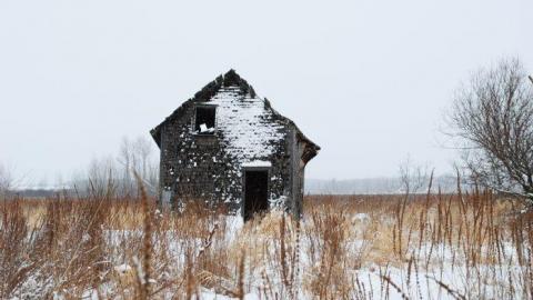 Photo from Dirty Farm House