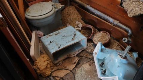 Jan '20 - DSC01163qSs.jpg