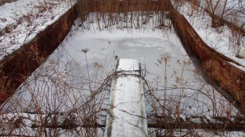 Jan '20 - DSC01267gL6.jpg