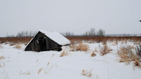 Dirty Farm House - Deavy-Farm28.jpg