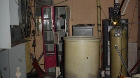 [Dickson Bowl] Thyme - IMG_4084J1s.jpg