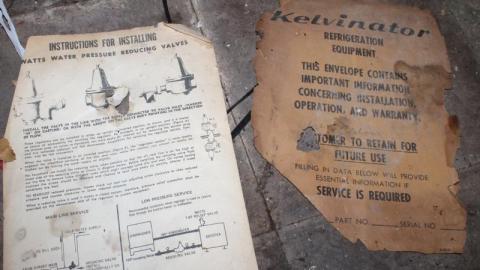 [Dickson Bowl] Thyme - IMG_4092cb3.jpg