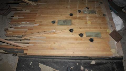 [Dickson Bowl] Thyme - IMG_4097M2L.jpg