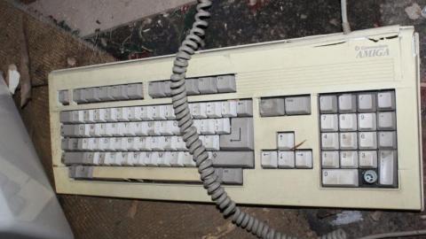 [Dickson Bowl] Thyme - IMG_4100eqy.jpg