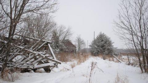 Photo from Dirty Farm House