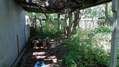 Sitting On The Porch With No Bay photo 4