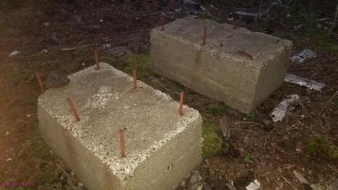 Quick Stop  - DSC_0087B3e.jpg