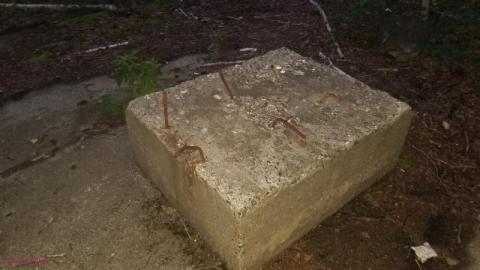 Quick Stop  - DSC_0086mnW.jpg