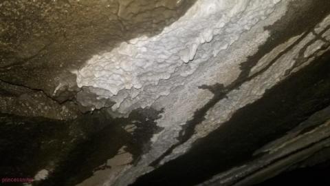 Quick Stop  - DSC_0080ohr.jpg