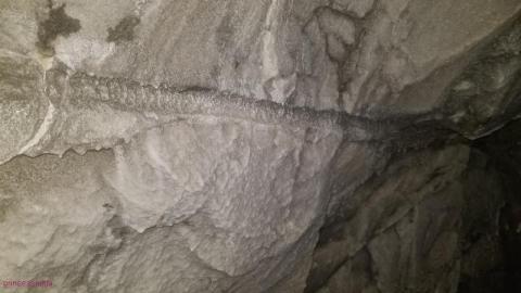 Quick Stop  - DSC_0084oGr.jpg