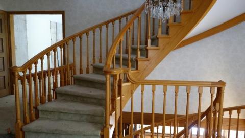 Oct '19 - DSC09680SjC.jpg