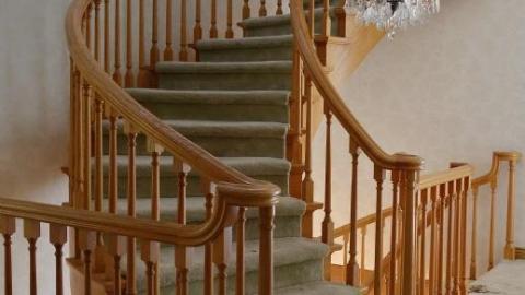 Oct '19 - DSC09684fxX.jpg