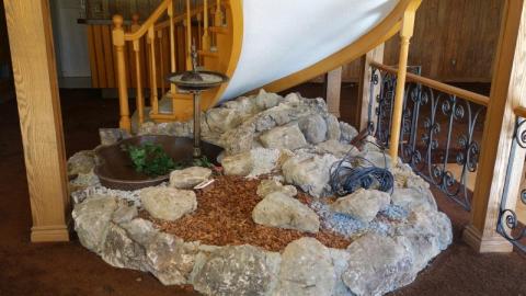 Oct '19 - DSC09735hoL.jpg