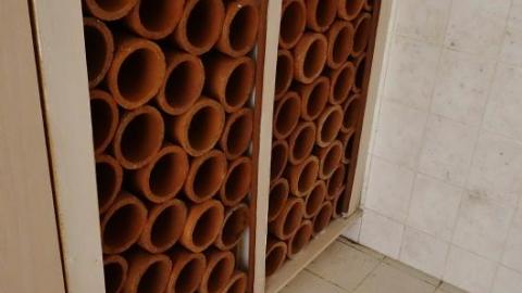 Oct '19 - DSC09741oTa.jpg