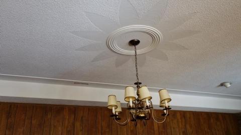 Oct '19 - DSC09762yBX.jpg