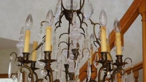 Oct '19 - DSC09827pyL.jpg