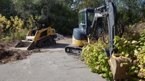 Oct '19 - DSC09884YNC.jpg