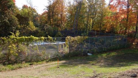 Oct '19 - DSC09905I8j.jpg