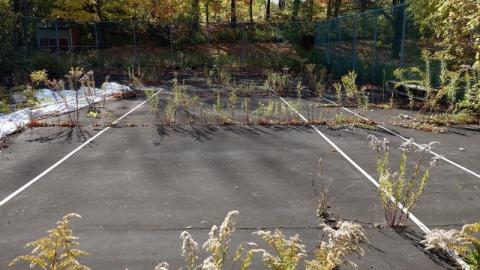 Oct '19 - DSC09907HeW.jpg