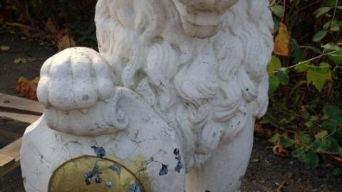 Oct '19 - DSC09919xUe.jpg