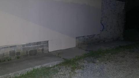 Night Visit - 49ED1653-DDE9-4907-9CB5-1D59348B7257Qtw.jpg