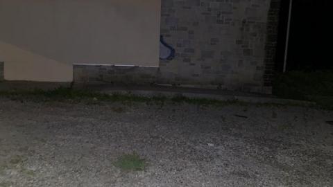 Night Visit - 1735653C-6813-4488-BAB9-7C7956BAAEA55Vd.jpg