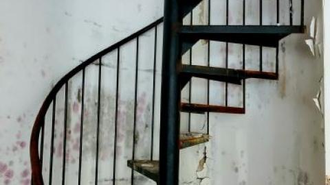 treehouse - 20200822_031430YmA.jpg