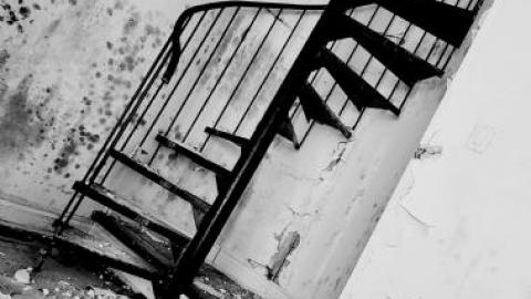 treehouse - 20200821_2057462fU.jpg